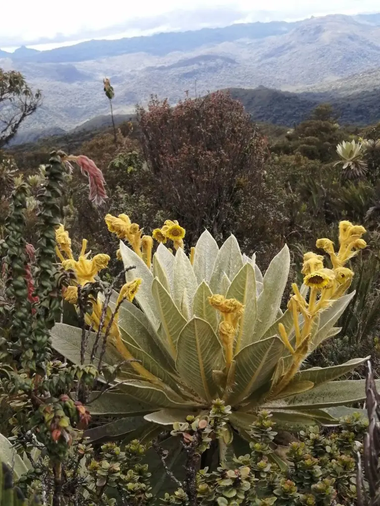 Laguna la Herradura4.webp