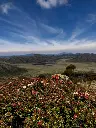 Magdalena5.webp