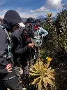 Magdalena4.webp