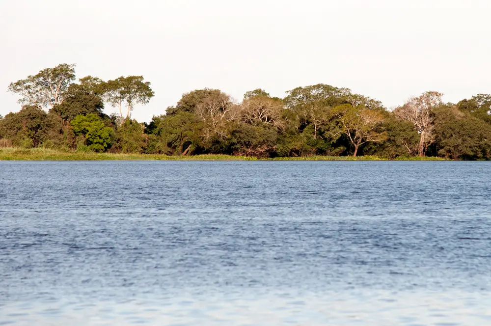Laguna_herradura.webp