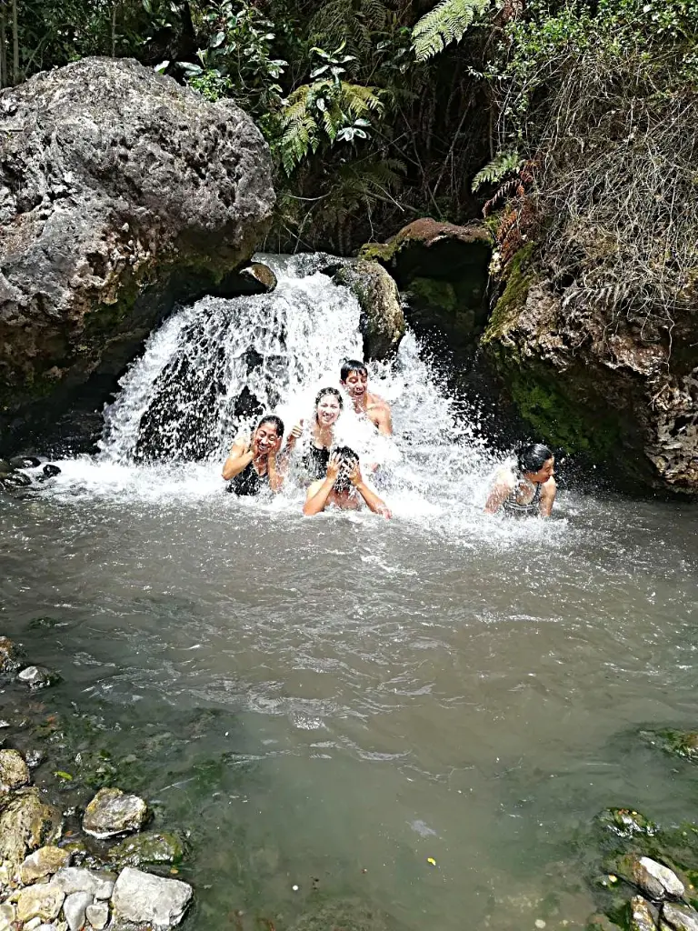 Salinas2.webp