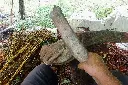 Popayan Ancestral4.webp