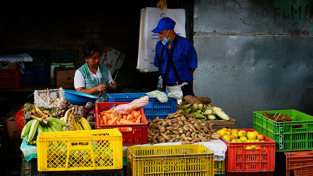 galeria-popayan-4.webp