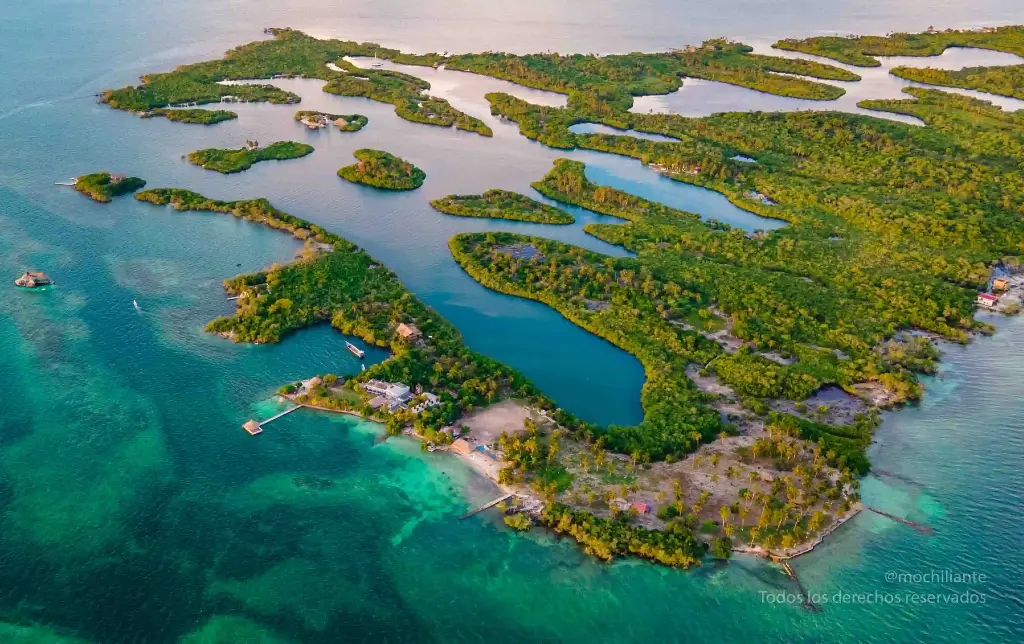 DJI_0062.webp