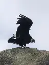 Purace desde San Agustin Intercambio Cultural y de Naturaleza en el Templo del Condor