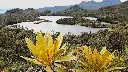 Laguna La Herradura y Guanacas.