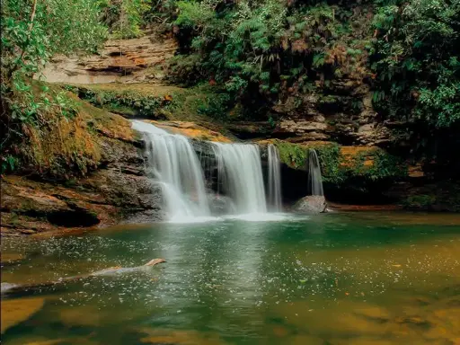 San Agustín Precolombino y Ancestral (10 días)