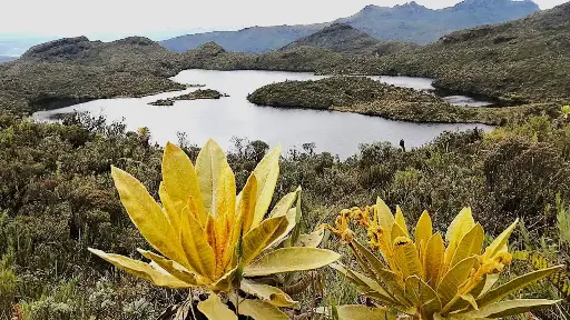 Laguna La Herradura y Guanacas.